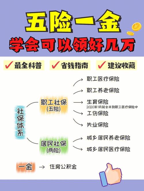 社保小百科知识（社保常识小百科）