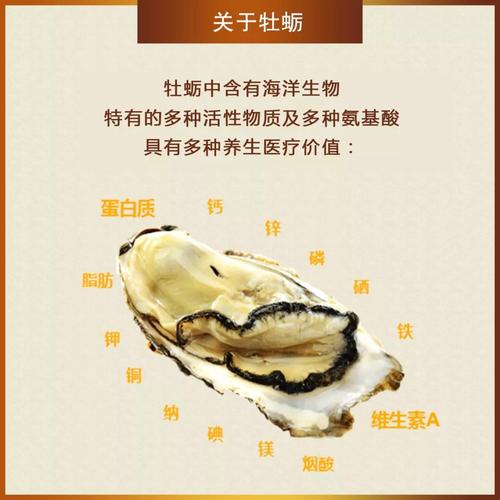 海蚝是碱性食物吗百度百科（海蚝是什么）