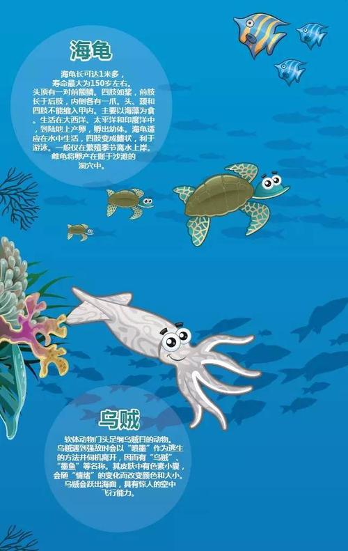 海洋动物百科动画（海洋动物少儿科普百科）